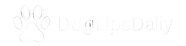 DogTipsDaily – Inicio